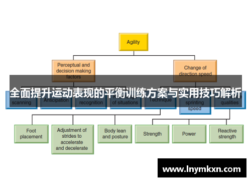全面提升运动表现的平衡训练方案与实用技巧解析